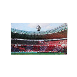 SC Freiburg Polyresin Magnet "Pokalfinale Berlin"