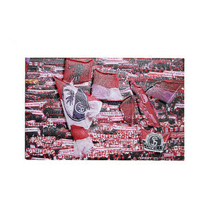 SC Freiburg Polyresin Magnet "Schalmeer"