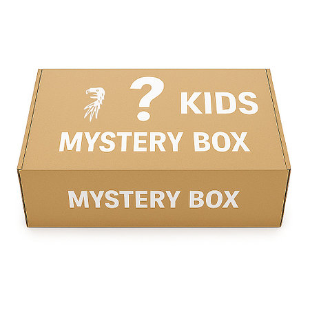 SC Freiburg Mystery Box Kinder 25/26