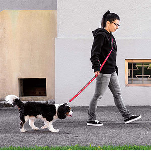 Hundeleine "scfreiburg" 170 cm