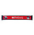SC Freiburg Schal "Europa-Park Stadion" Rückseite (2)