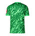 SC Freiburg Torwarttrikot 25/26 grün Rücken (2)