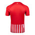 SC Freiburg Trikot Heim Badenova 26/27 rot Rücken (2)