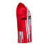 SC Freiburg Trikot Heim 26/27 rot recht (4)