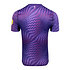 SC Freiburg Torwarttrikot 26/27 purple Rücken (3)
